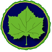 Sycamore Landscape Design Build logo - Similar company to Trinity Design Build