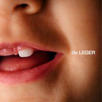 de LEGER logo - Similar company to Fly Communications