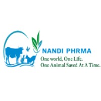 Nandi Pharma Pvt. Ltd. logo - Similar company to Moonfellow It Solutions Pvt Ltd