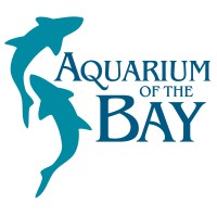 Aquarium Of The Bay