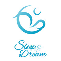 Sleep & Dream logo - Similar company to Fey Gmbh