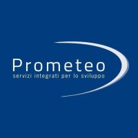 Prometeo Srl Business Consulting logo - Similar company to A.P.L. Endofap Sicilia