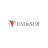 ENDeSUR logo - Similar company to Neosynergy Solutions Limited