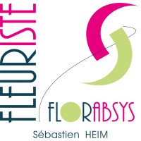Fleuriste Florabsys logo - Similar company to Sarl Mandragore