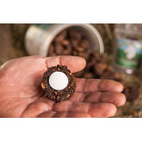 Dimples Horse Treats logo - Similar company to Connection Hub