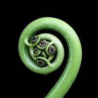 UNITY. Aotearoa logo - Similar company to Dear Community Charitable Trust