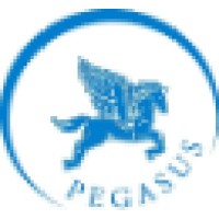 Pegasus Worldwide Limousine logo - Similar company to Verma Overseas (India)
