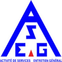 ASEG logo - Similar company to Thermal Engineering, Llc