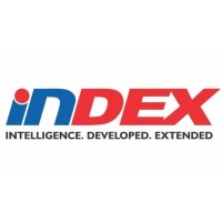 Index Consulting Company LLC logo - Similar company to Revita Gıda Ltd Şti.