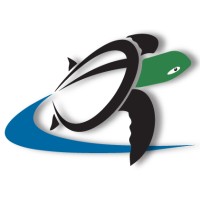 Turn-Turtle Educational Media logo - Similar company to Brightmind Elearning