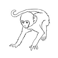 Monk-e logo - Similar company to Globo Clean Bv