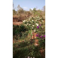 RuralRasta logo - Similar company to Connectfarmer Agritech Private Limited