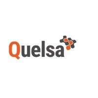 Quelsa Market Research logo - Similar company to Buro Improof