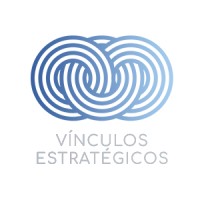 Vínculos Estratégicos logo - Similar company to Itproject