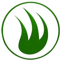 DFW Turf Solutions logo - Similar company to Artificial Grass Pros