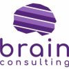 Brain Consulting Brazil logo - Similar company to Wps Consult