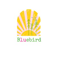 Bluebird Art - Artist, designer and lover of colour logo - Similar company to Insight6 Dorset, Bath & Wiltshire