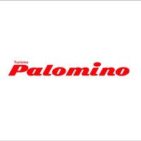 Palomino logo - Similar company to Ngd Import