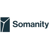 Somanity logo - Similar company to Videtics
