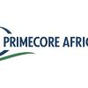 PrimeCore Africa logo - Similar company to Dida Store