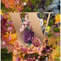 WildHeart UK logo - Similar company to Wildheart Llp