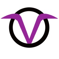 InVendus logo - Similar company to Invedus Outsourcing