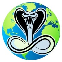 COBRA INTERNATIONAL SECURITY LIMITED logo - Similar company to Phoenix Group