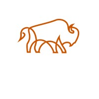 Buffalo Safety & Security Group logo - Similar company to Doublecheck Inc.