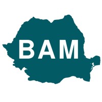 BAM Romania logo - Similar company to Engage Connect