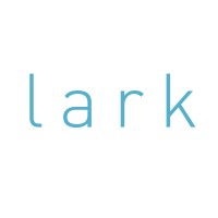 Lark Productions logo - Similar company to Blink49 Studios