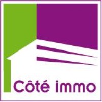 Côté Immo Lyon logo - Similar company to Arevise