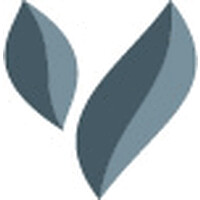 VALUESQUE logo - Similar company to Valuesque