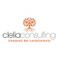 Clelia Consulting logo - Similar company to Network 21