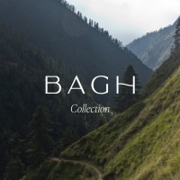 Bagh Collection logo - Similar company to Season Supply Chain Technology Co.,Ltd