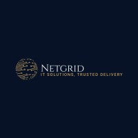Netgrid logo - Similar company to Netgrid