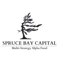 Spruce Bay Capital Research logo - Similar company to Bruce Winder Retail