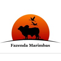 Fazendas Reunidas Marimbas logo - Similar company to Fazendas Nk