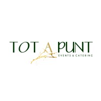 Grupo Tot a Punt logo - Similar company to Absolute Dmc