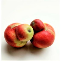 Cultuur + Educatie logo - Similar company to Mijn Vic - Control Voor De Lokale Overheid