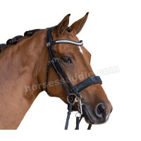 Bridles and Reins logo - Similar company to Saru General