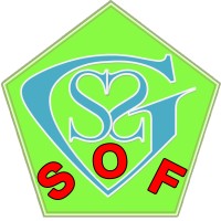 SSG - SUPPORTING STUDENT GROUP logo - Similar company to Sea To Sea