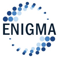 Enigma Corporation logo - Similar company to Enigma Technologies, Inc.