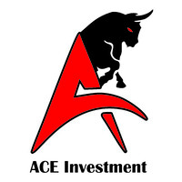 ACE Investment logo - Similar company to Broadvision Perspectives