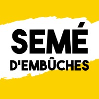 Semé d'embûches logo - Similar company to Laura Immo