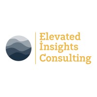 Elevated Insights Consulting LLC