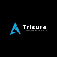 Trisure Risk Administrator (Pty) Ltd logo - Similar company to Riscfree Dot Com