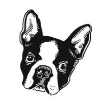 Boston Terrier Society logo - Similar company to Boston Terrier Rescue Of North Texas