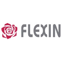 Flexin Srl logo - Similar company to Flowex Bv