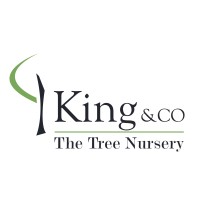 King&Co The Tree Nursery Ltd