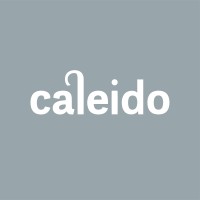 Caleido logo - Similar company to Borgo Divisione Luce
